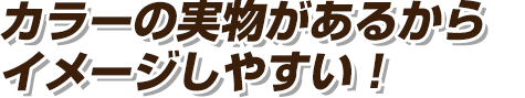 カラーの実物があるからイメージしやすい！