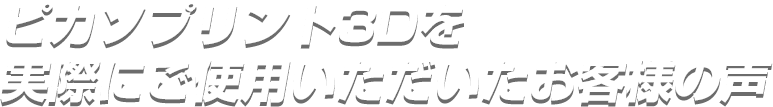 ピカソプリント3Dを実際にご使用いただいたお客様の声