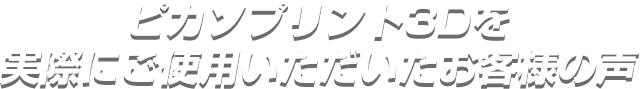 ピカソプリント3Dを実際にご使用いただいたお客様の声